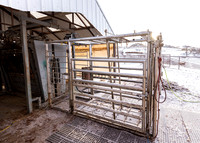 2023 Nichols Cattle Services-4063