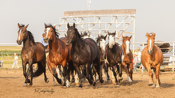 2024 Slope County Ranch Rodeo-5570