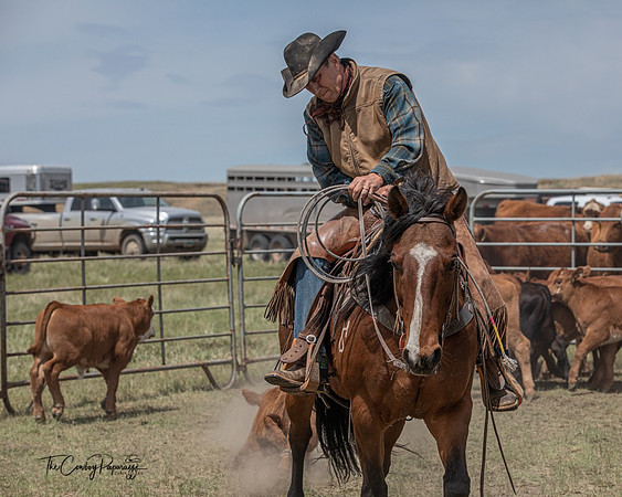 17May2020 Roedeske Branding.72-3985
