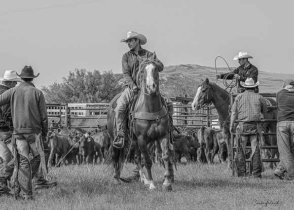 1June2019 Skaar Branding-6388