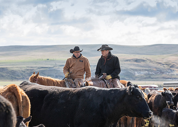 14May2020 Irwin Branding.72-2438