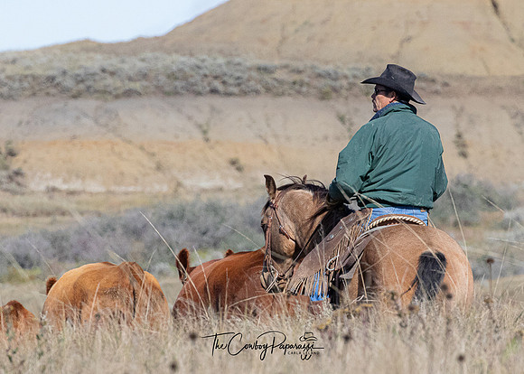 3Oct2019 LRA Weaning-5490-2