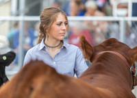 RCF&R 4-H Livestock Shows, Sidney, MT, August 2 - 6, 2021
