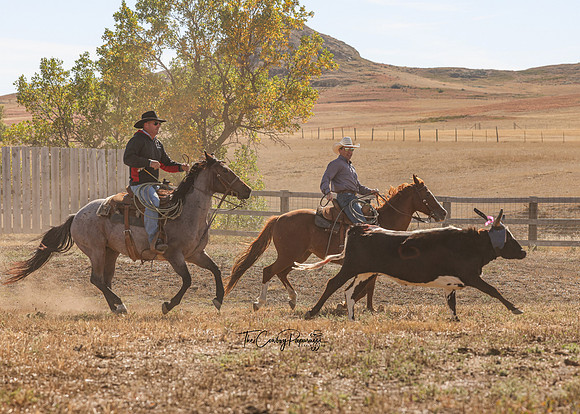 2024 McMillen Pasture Roping-7589