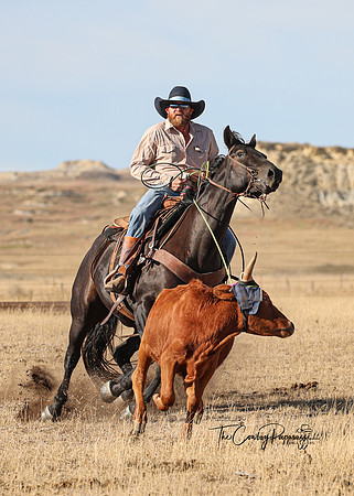 2024 McMillen Pasture Roping-4010