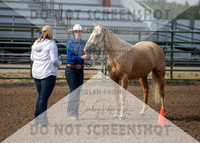 2Aug2021 RCF&R 4H Horse Show-2447