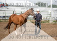 2Aug2021 RCF&R 4H Horse Show-2454