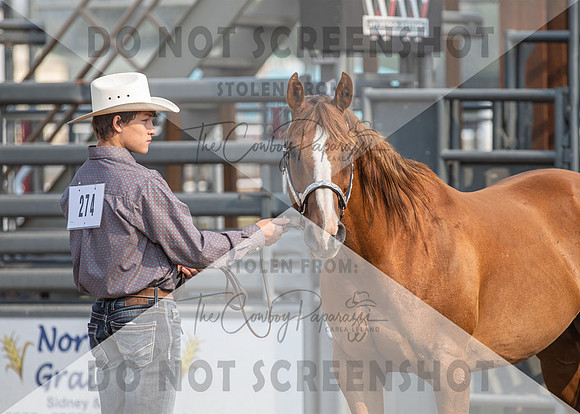 2Aug2021 RCF&R 4H Horse Show-2456