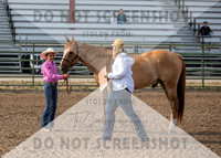 2Aug2021 RCF&R 4H Horse Show-2470