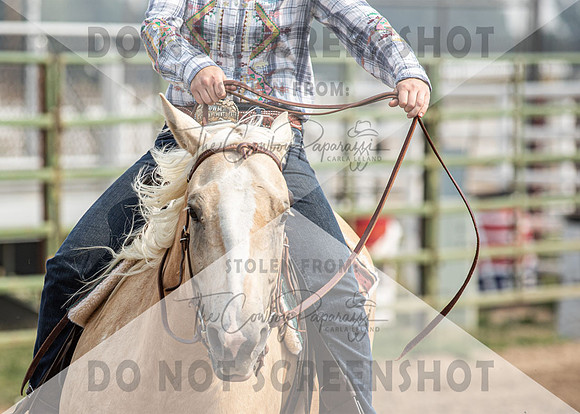 2Aug2021 RCF&R 4H Horse Show-2529