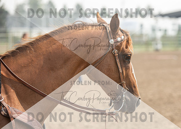 2Aug2021 RCF&R 4H Horse Show-2536