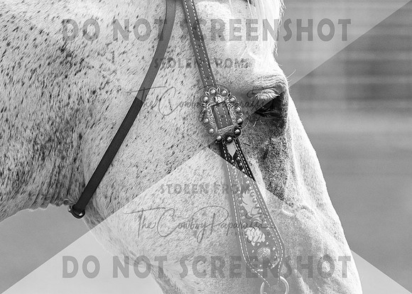 2Aug2021 RCF&R 4H Horse Show-2548