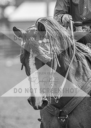 2Aug2021 RCF&R 4H Horse Show-2542