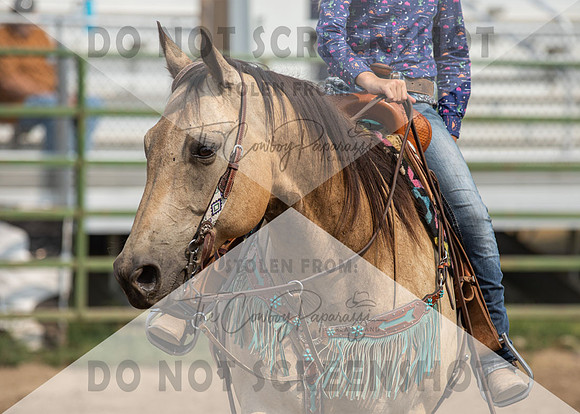2Aug2021 RCF&R 4H Horse Show-2575