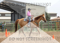 2Aug2021 RCF&R 4H Horse Show-2598
