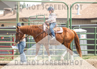 2Aug2021 RCF&R 4H Horse Show-2642