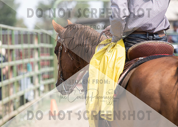 2Aug2021 RCF&R 4H Horse Show-2790