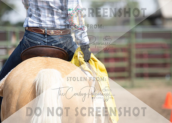 2Aug2021 RCF&R 4H Horse Show-2811