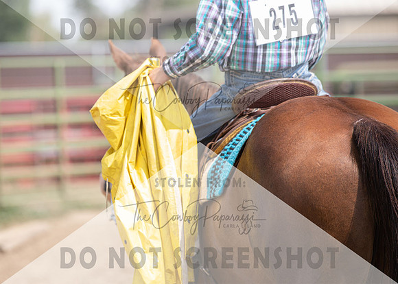2Aug2021 RCF&R 4H Horse Show-2881