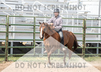 2Aug2021 RCF&R 4H Horse Show-2911