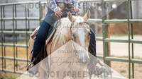 2Aug2021 RCF&R 4H Horse Show-3909
