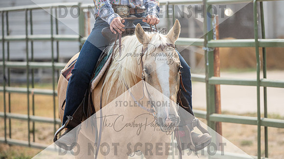 2Aug2021 RCF&R 4H Horse Show-3909