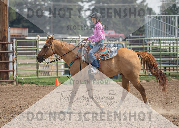 2Aug2021 RCF&R 4H Horse Show-3952