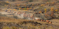 22Sep2021 LRA Weaning-5700