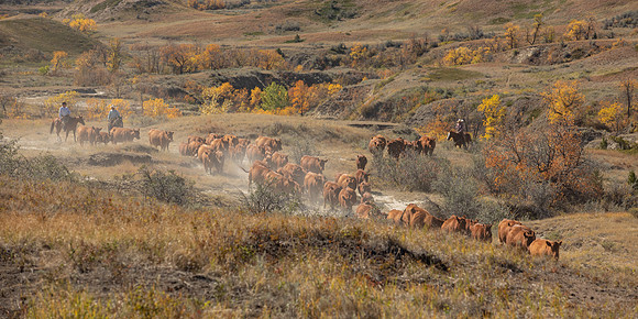 22Sep2021 LRA Weaning-5700