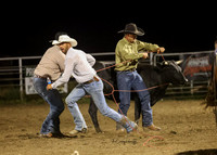 Wild Cow Milking