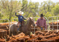 2025 LRA Hfr Branding-4231