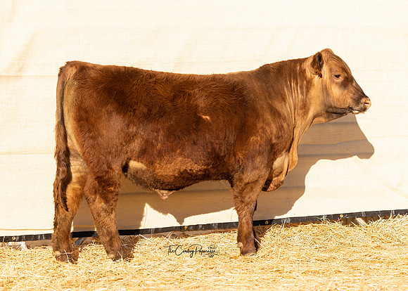 Bull 2117 OS
