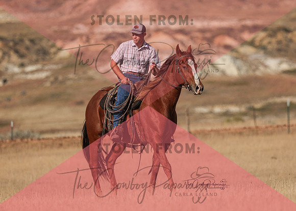2024 McMillen Pasture Roping-3752