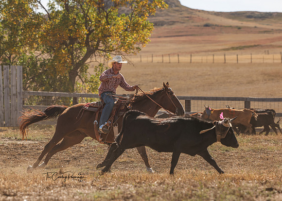 2024 McMillen Pasture Roping-7536