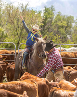 2025 LRA Hfr Branding-4273-2