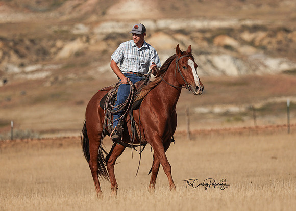 2024 McMillen Pasture Roping-3752