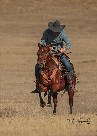 2024 McMillen Pasture Roping-3849