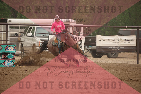 255A1991