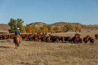 22Sep2021 LRA Weaning-5143