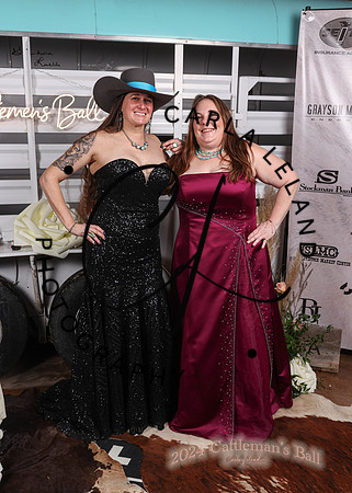 2024 Cattleman's Ball-0288
