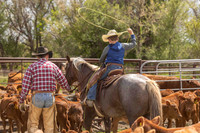 2025 LRA Hfr Branding-4245