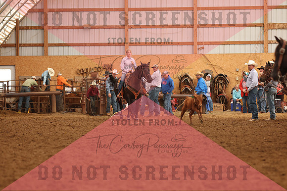 255A6450
