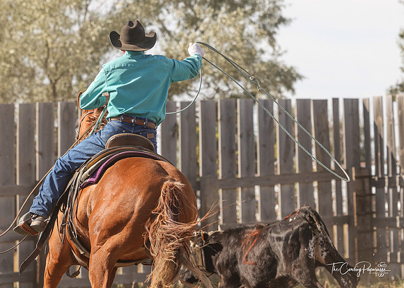 2024 McMillen Pasture Roping-7703