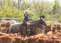 2025 LRA Hfr Branding-4229