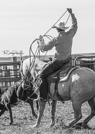 2024 McMillen Pasture Roping-7810