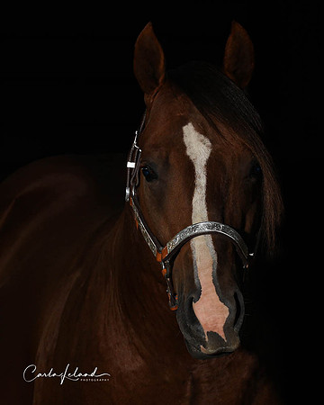 11Sept2022Jester-