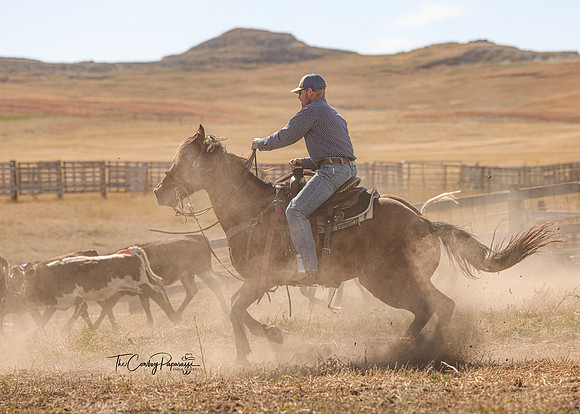 2024 McMillen Pasture Roping-7627