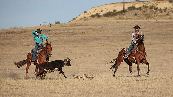 2024 McMillen Pasture Roping-4066