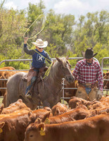 2025 LRA Hfr Branding-4232