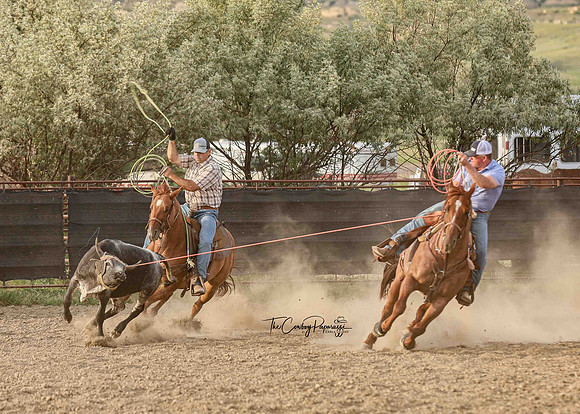 2025 Bar One Bar Roping #2-0629